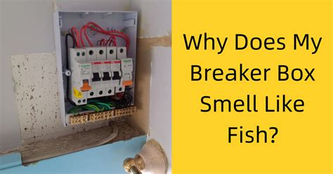 electric smell around circuit breaker box|Why Does My Circuit Breaker Box Smell Like it’s .